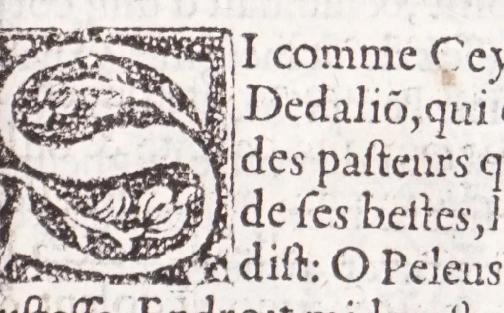 An illustration from Les XV. liures de la Metamorphose d'Ouide (poëte treselegãt) : contenans L'olympe des histoires poëtiques, traduictz de Latin en Francoys : le tout figuré de nouuelles figures & hystoires .., 1539, leaf 431