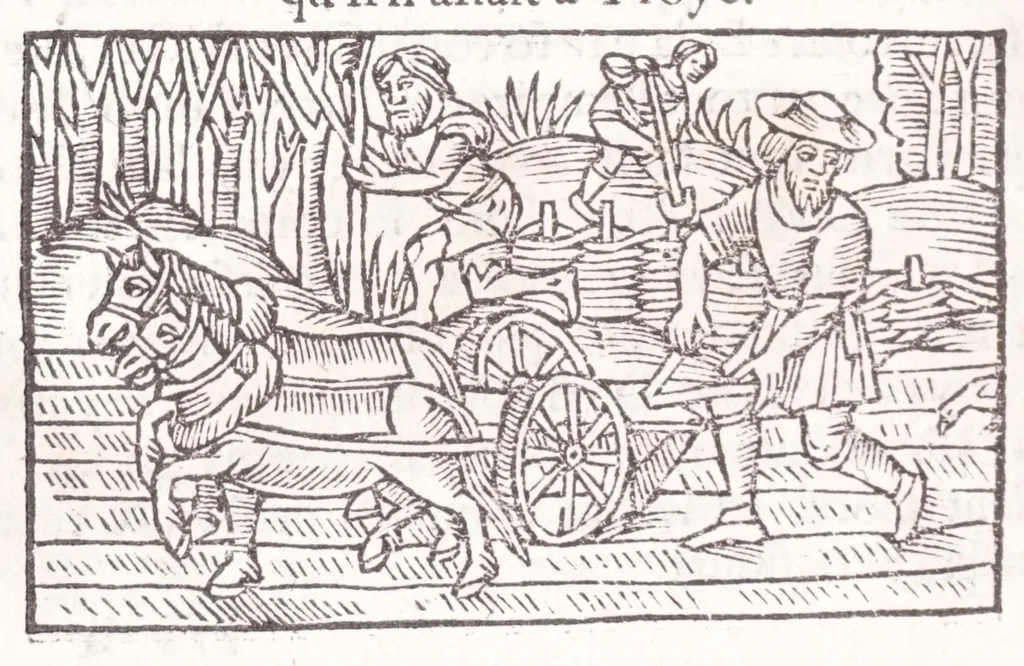 An illustration from Les XV. liures de la Metamorphose d'Ouide (poëte treselegãt) : contenans L'olympe des histoires poëtiques, traduictz de Latin en Francoys : le tout figuré de nouuelles figures & hystoires .., 1539, leaf 464