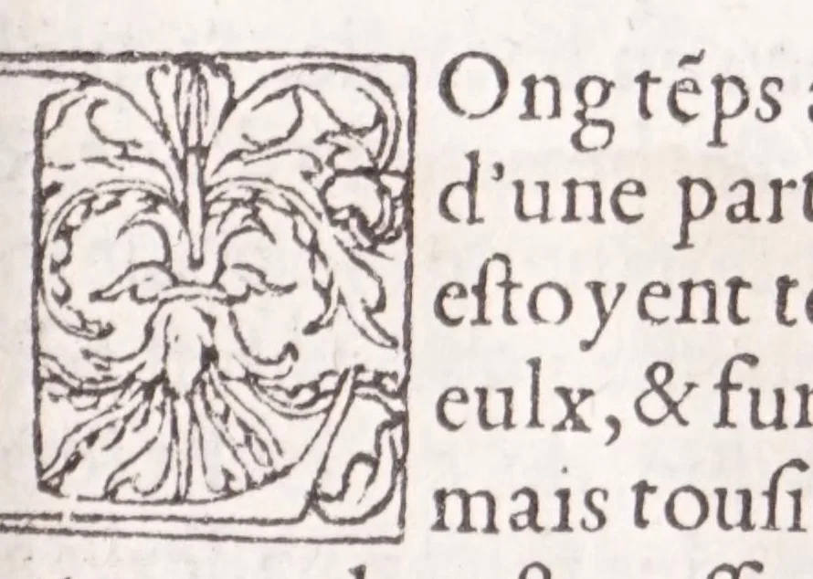An illustration from Les XV. liures de la Metamorphose d'Ouide (poëte treselegãt) : contenans L'olympe des histoires poëtiques, traduictz de Latin en Francoys : le tout figuré de nouuelles figures & hystoires .., 1539, leaf 477
