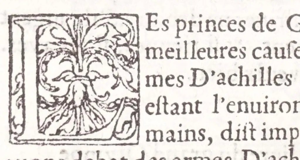 An illustration from Les XV. liures de la Metamorphose d'Ouide (poëte treselegãt) : contenans L'olympe des histoires poëtiques, traduictz de Latin en Francoys : le tout figuré de nouuelles figures & hystoires .., 1539, leaf 508