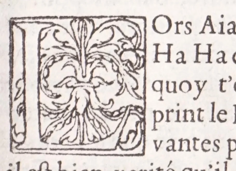 An illustration from Les XV. liures de la Metamorphose d'Ouide (poëte treselegãt) : contenans L'olympe des histoires poëtiques, traduictz de Latin en Francoys : le tout figuré de nouuelles figures & hystoires .., 1539, leaf 521