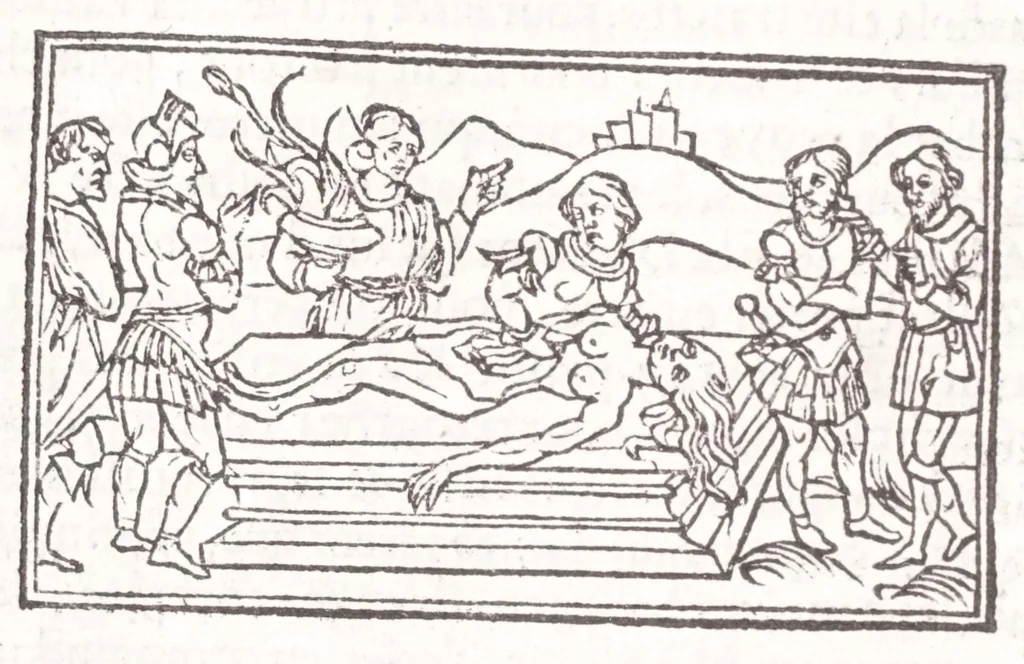 An illustration from Les XV. liures de la Metamorphose d'Ouide (poëte treselegãt) : contenans L'olympe des histoires poëtiques, traduictz de Latin en Francoys : le tout figuré de nouuelles figures & hystoires .., 1539, leaf 526