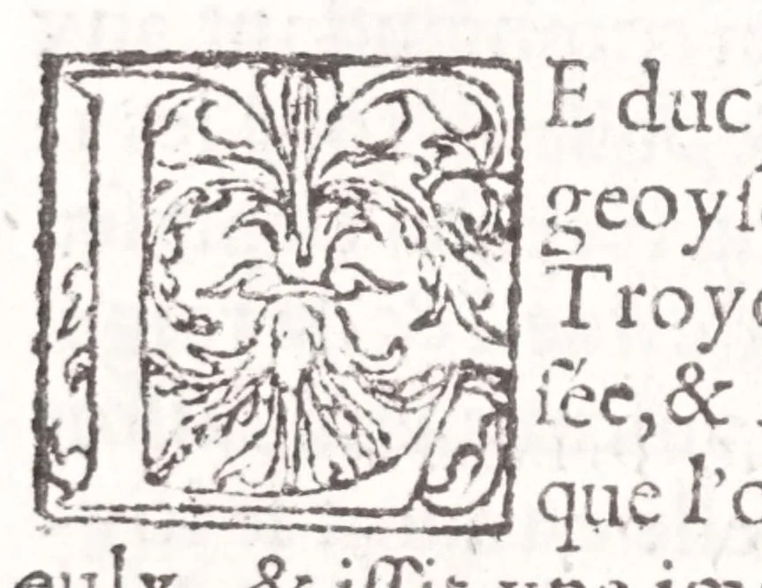 An illustration from Les XV. liures de la Metamorphose d'Ouide (poëte treselegãt) : contenans L'olympe des histoires poëtiques, traduictz de Latin en Francoys : le tout figuré de nouuelles figures & hystoires .., 1539, leaf 526