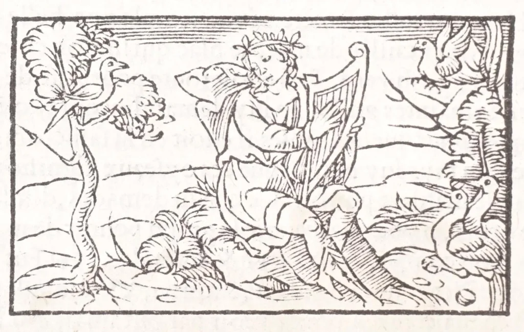 An illustration from Les XV. liures de la Metamorphose d'Ouide (poëte treselegãt) : contenans L'olympe des histoires poëtiques, traduictz de Latin en Francoys : le tout figuré de nouuelles figures & hystoires .., 1539, leaf 564