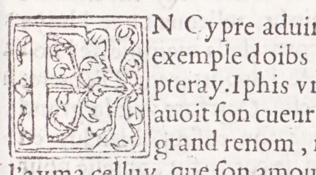 An illustration from Les XV. liures de la Metamorphose d'Ouide (poëte treselegãt) : contenans L'olympe des histoires poëtiques, traduictz de Latin en Francoys : le tout figuré de nouuelles figures & hystoires .., 1539, leaf 577
