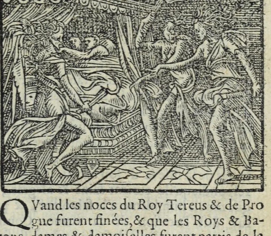 An illustration from Les XV. livres de la Metamorphose d'Ovide, poete treselegant : contenants l'Olympe des hystoires poetiqves, traduitz de latin en françois, 1574, leaf 249