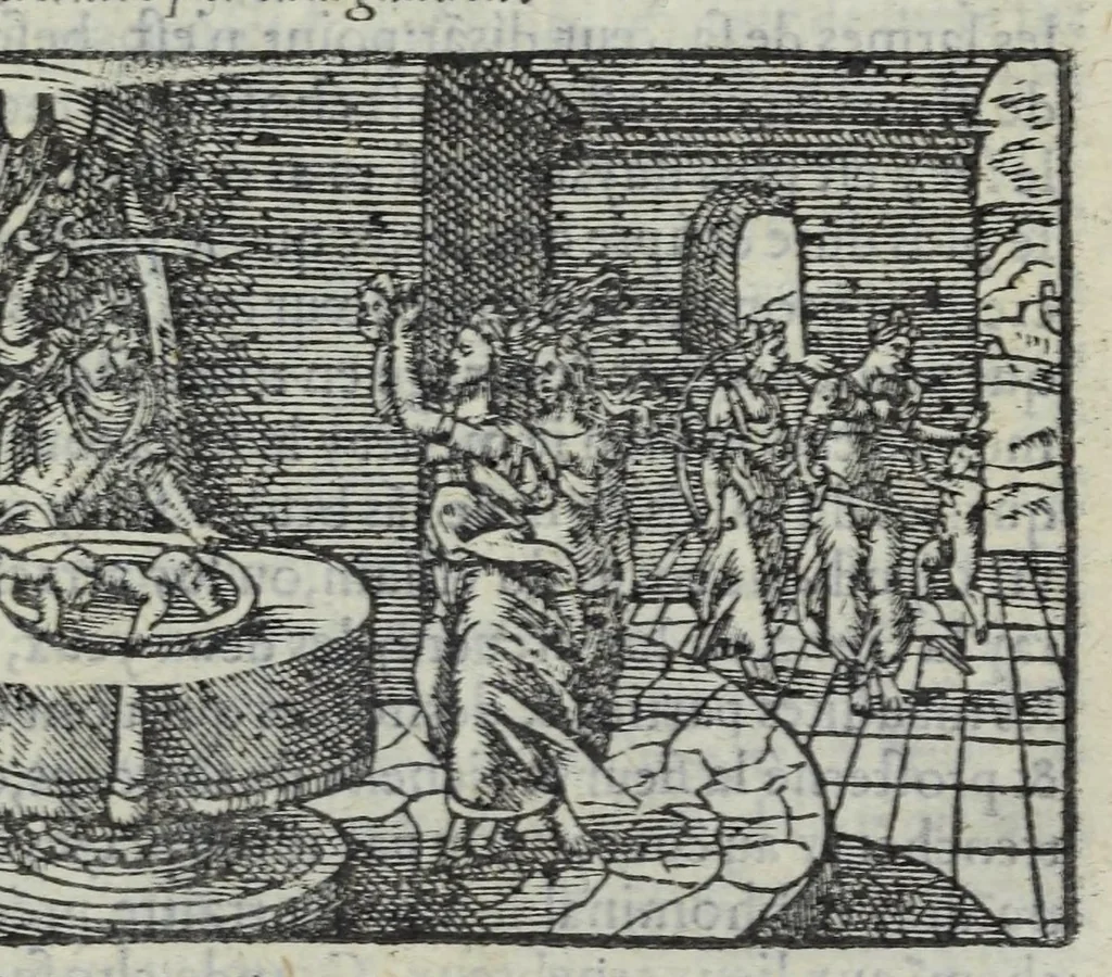 An illustration from Les XV. livres de la Metamorphose d'Ovide, poete treselegant : contenants l'Olympe des hystoires poetiqves, traduitz de latin en françois, 1574, leaf 263