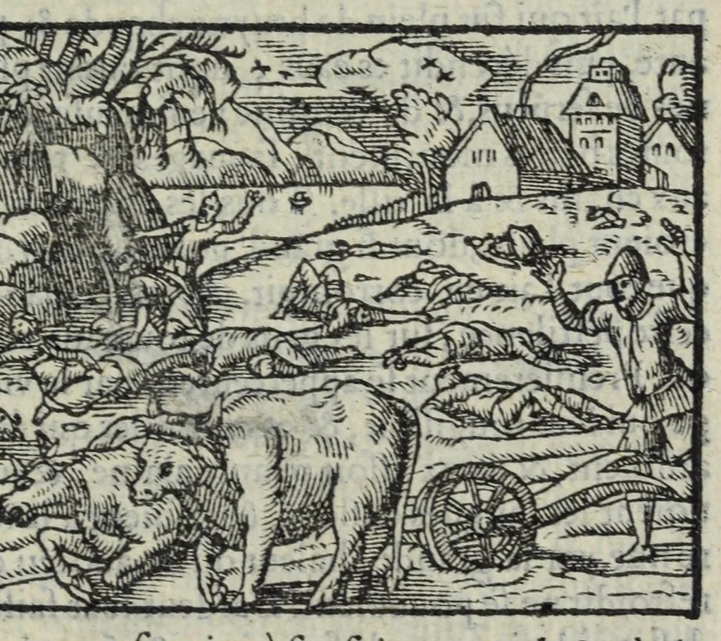 An illustration from Les XV. livres de la Metamorphose d'Ovide, poete treselegant : contenants l'Olympe des hystoires poetiqves, traduitz de latin en françois, 1574, leaf 305