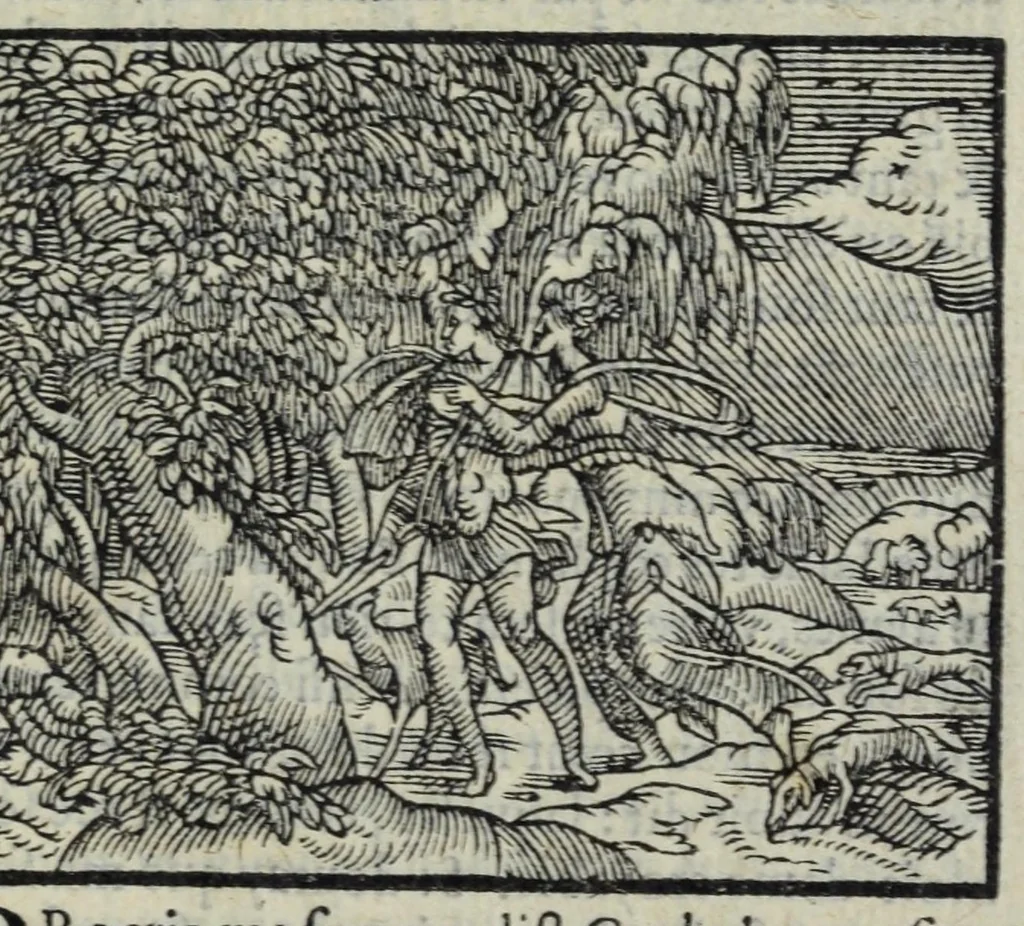 An illustration from Les XV. livres de la Metamorphose d'Ovide, poete treselegant : contenants l'Olympe des hystoires poetiqves, traduitz de latin en françois, 1574, leaf 311