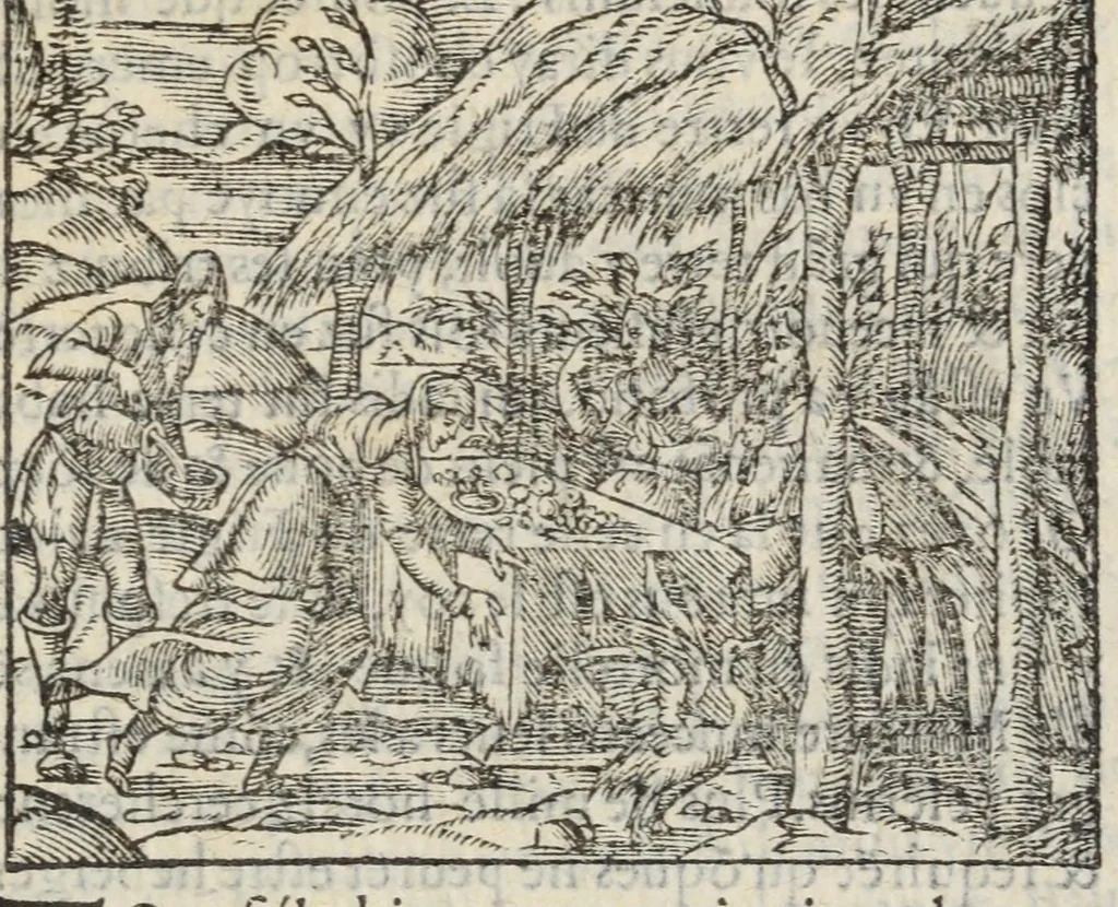An illustration from Les XV. livres de la Metamorphose d'Ovide, poete treselegant : contenants l'Olympe des hystoires poetiqves, traduitz de latin en françois, 1574, leaf 381