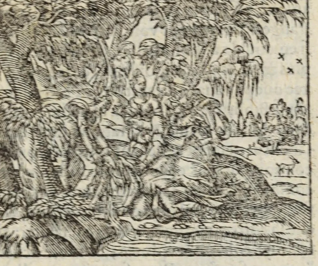 An illustration from Les XV. livres de la Metamorphose d'Ovide, poete treselegant : contenants l'Olympe des hystoires poetiqves, traduitz de latin en françois, 1574, leaf 443