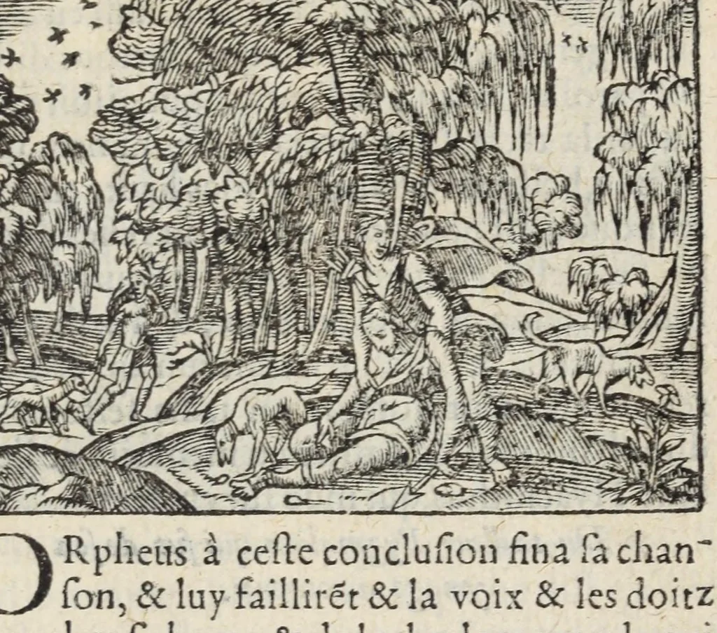 An illustration from Les XV. livres de la Metamorphose d'Ovide, poete treselegant : contenants l'Olympe des hystoires poetiqves, traduitz de latin en françois, 1574, leaf 463