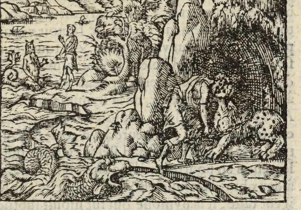 An illustration from Les XV. livres de la Metamorphose d'Ovide, poete treselegant : contenants l'Olympe des hystoires poetiqves, traduitz de latin en françois, 1574, leaf 517