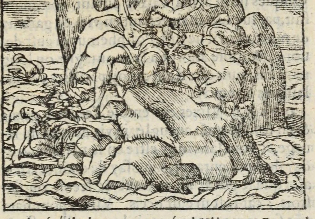 An illustration from Les XV. livres de la Metamorphose d'Ovide, poete treselegant : contenants l'Olympe des hystoires poetiqves, traduitz de latin en françois, 1574, leaf 715