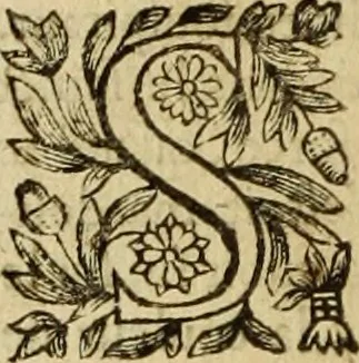 An illustration from Le tableav des riches inventions couuertes de voile des feintes amoureuses, qui sont representees dans le Songe de Poliphile, desvoilees des ombres d Songe & subtilement exposees par Beroalde, 1600, leaf 165