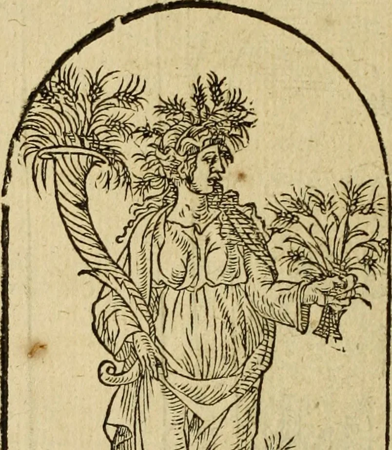 An illustration from Le tableav des riches inventions couuertes de voile des feintes amoureuses, qui sont representees dans le Songe de Poliphile, desvoilees des ombres d Songe & subtilement exposees par Beroalde, 1600, leaf 171