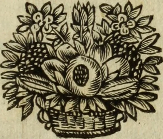 An illustration from Le tableav des riches inventions couuertes de voile des feintes amoureuses, qui sont representees dans le Songe de Poliphile, desvoilees des ombres d Songe & subtilement exposees par Beroalde, 1600, leaf 2
