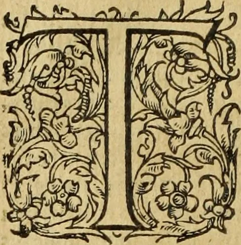 An illustration from Le tableav des riches inventions couuertes de voile des feintes amoureuses, qui sont representees dans le Songe de Poliphile, desvoilees des ombres d Songe & subtilement exposees par Beroalde, 1600, leaf 245