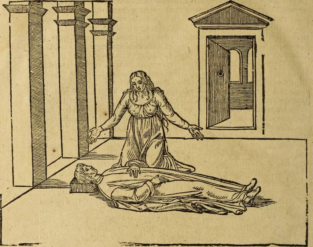 An illustration from Le tableav des riches inventions couuertes de voile des feintes amoureuses, qui sont representees dans le Songe de Poliphile, desvoilees des ombres d Songe & subtilement exposees par Beroalde, 1600, leaf 321