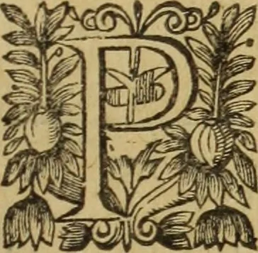An illustration from Le tableav des riches inventions couuertes de voile des feintes amoureuses, qui sont representees dans le Songe de Poliphile, desvoilees des ombres d Songe & subtilement exposees par Beroalde, 1600, leaf 336