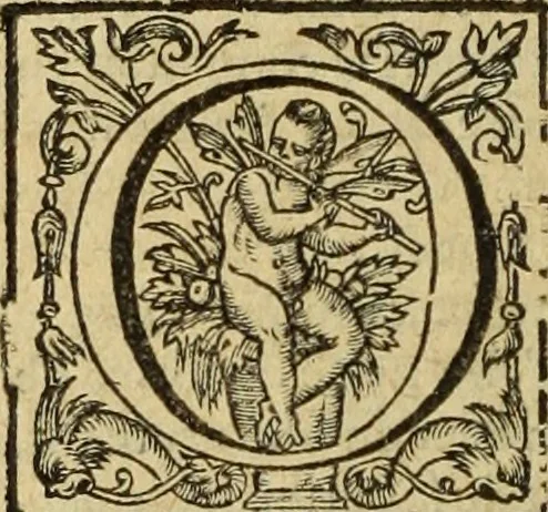 An illustration from Le tableav des riches inventions couuertes de voile des feintes amoureuses, qui sont representees dans le Songe de Poliphile, desvoilees des ombres d Songe & subtilement exposees par Beroalde, 1600, leaf 339