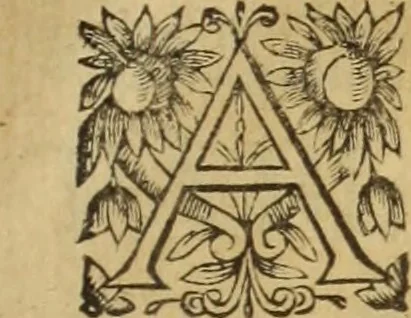An illustration from Le tableav des riches inventions couuertes de voile des feintes amoureuses, qui sont representees dans le Songe de Poliphile, desvoilees des ombres d Songe & subtilement exposees par Beroalde, 1600, leaf 346