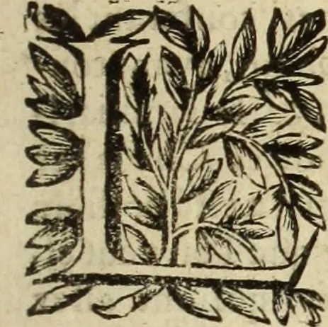 An illustration from Le tableav des riches inventions couuertes de voile des feintes amoureuses, qui sont representees dans le Songe de Poliphile, desvoilees des ombres d Songe & subtilement exposees par Beroalde, 1600, leaf 4