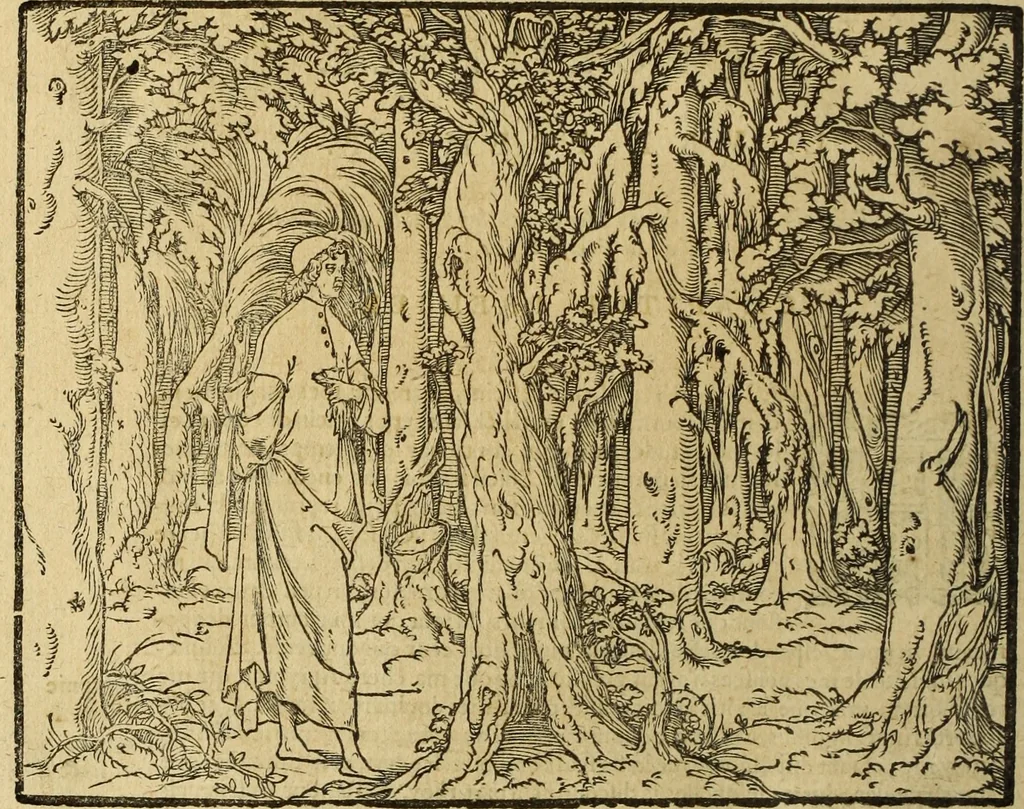 An illustration from Le tableav des riches inventions couuertes de voile des feintes amoureuses, qui sont representees dans le Songe de Poliphile, desvoilees des ombres d Songe & subtilement exposees par Beroalde, 1600, leaf 41