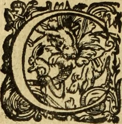An illustration from Le tableav des riches inventions couuertes de voile des feintes amoureuses, qui sont representees dans le Songe de Poliphile, desvoilees des ombres d Songe & subtilement exposees par Beroalde, 1600, leaf 67