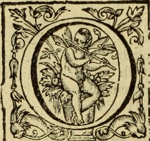 An illustration from Le tableav des riches inventions couuertes de voile des feintes amoureuses, qui sont representees dans le Songe de Poliphile, desvoilees des ombres d Songe & subtilement exposees par Beroalde, 1600, leaf 73