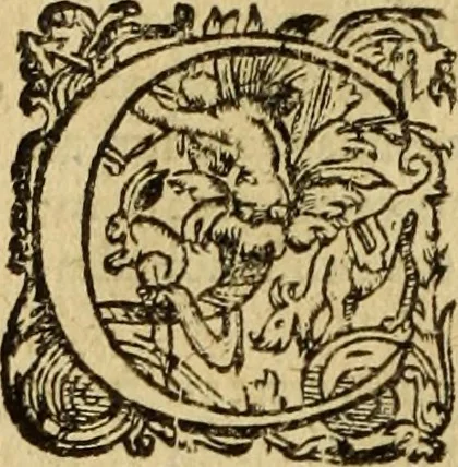 An illustration from Le tableav des riches inventions couuertes de voile des feintes amoureuses, qui sont representees dans le Songe de Poliphile, desvoilees des ombres d Songe & subtilement exposees par Beroalde, 1600, leaf 99