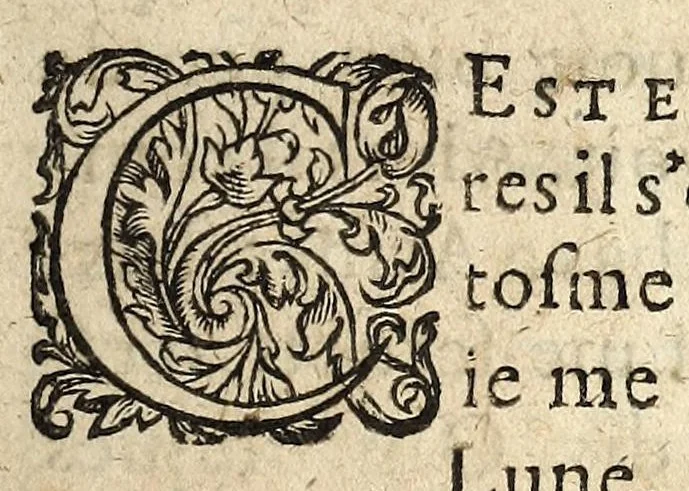 An illustration from Le testament et dernier colonté du sieur Conchini de Conchino biadis pretendu Mareschal de France : apporté en ce monde par vn de ses gentilshommes, qui fut tué aupres de Nanterre, lequel s'adresse au vilageois qui le tua. Plus y est comprins vn discours de le rencontre dudit Conchino & de Rauaillace, en forme de dialogue., 1617, leaf 9