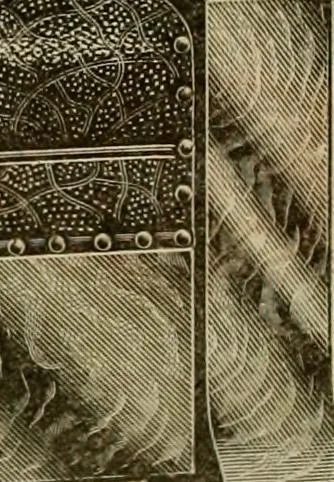 An illustration from Let Hartman feather your nest., 1916, leaf 129