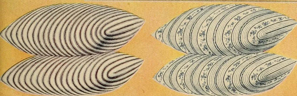 An illustration from Let Hartman feather your nest., 1916, leaf 202