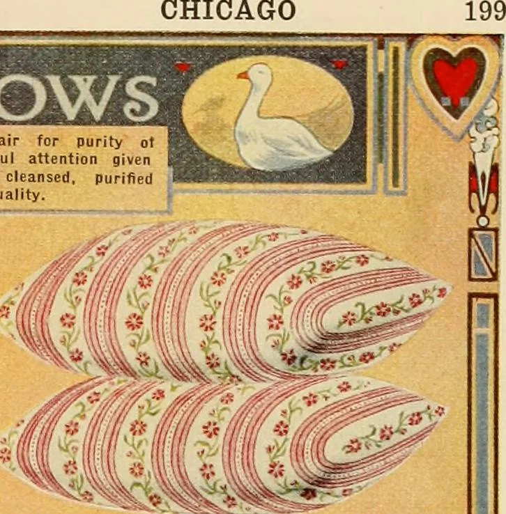 An illustration from Let Hartman feather your nest., 1916, leaf 202
