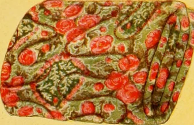 An illustration from Let Hartman feather your nest., 1916, leaf 204