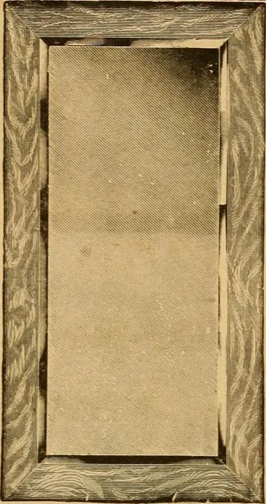 An illustration from Let Hartman feather your nest., 1916, leaf 286