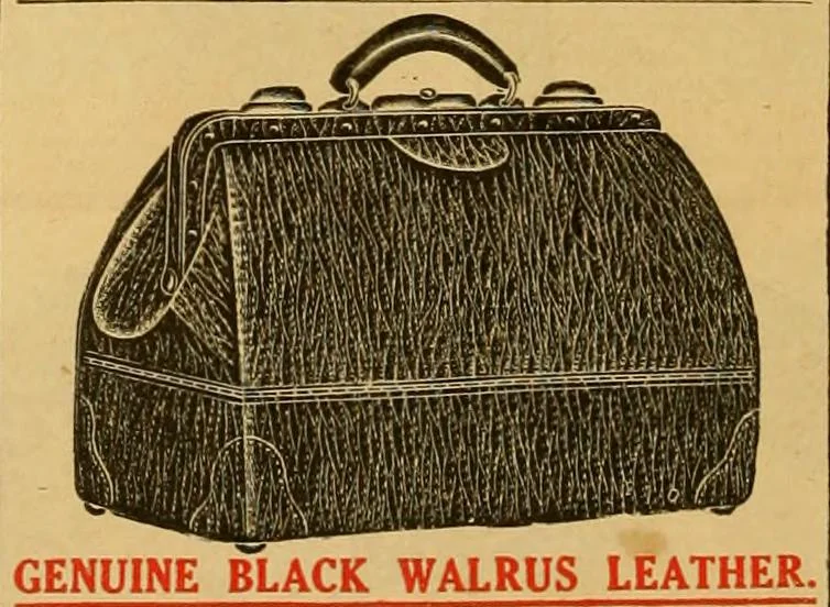 An illustration from Let Hartman feather your nest., 1916, leaf 307