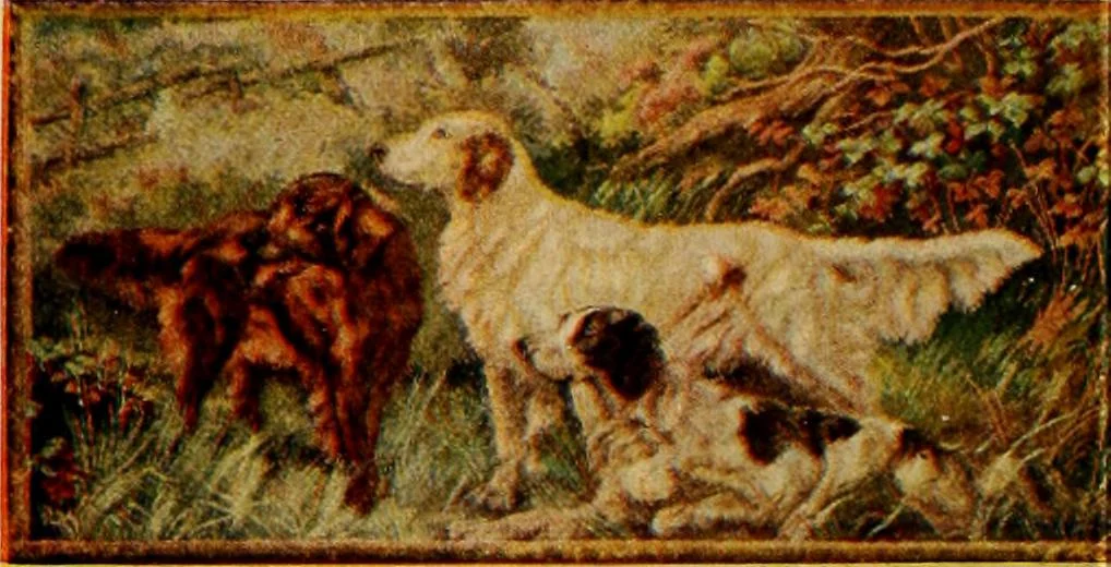 An illustration from Let Hartman feather your nest., 1916, leaf 45