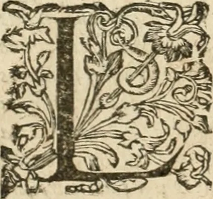 An illustration from Le theatre de l'art de charpentier : enrichi de diuerses figures, auec l'interpretation dicelles faict & dresse, 1627, leaf 7
