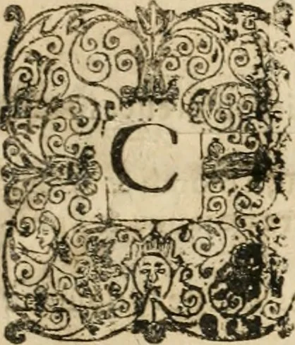An illustration from Le theatre de l'art de charpentier : enrichi de diuerses figures, auec l'interpretation dicelles faict & dresse, 1627, leaf 8