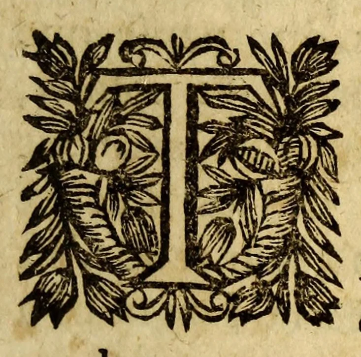 An illustration from Le theatre de l'univers, ou L'abbrege [sic] du monde, : contenant les descriptions particulieres de tous les estats, empires, monarchies, republiques & principautez du monde. Auec les proprietez de chaque pays, la succession & les forces des souuerains, leur gouuernement ancien & moderne. La religion, les moeurs & les richesses de leurs subiects, les limites de leurs terres, la situation des villes, le cours des fleuues, les ports de mer, & autres particularitez necessaires à la cognoissance de l'histoire & de la cosmographie. Le tout suiuant les observations des meilleurs autheurs, tant des autres siecles, que de nostre temps. Auec les figures des souuerains, tirés au naturel, 1646, leaf 33