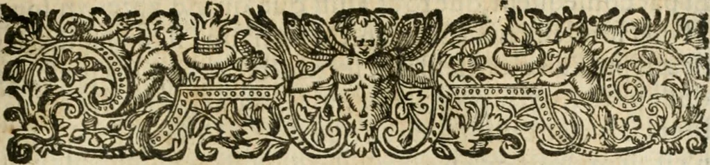 An illustration from Le theatre des antiquitez de Paris; où est traicté de la fondation des eglises et chapelles de la cité, vniuersité, ville et diocese de Paris; comme aussi de l'institution du Parlement, fondation de l'vniuersité & colleges & autres choses remarquables. Diuisé en quatre liures, 1612, leaf 798