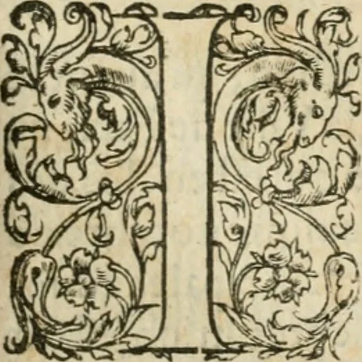 An illustration from Le theatre des antiquitez de Paris; où est traicté de la fondation des eglises et chapelles de la cité, vniuersité, ville et diocese de Paris; comme aussi de l'institution du Parlement, fondation de l'vniuersité & colleges & autres choses remarquables. Diuisé en quatre liures, 1612, leaf 798