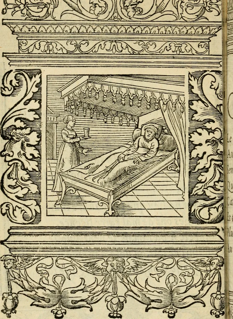 An illustration from Le theatre des bons engins : auquel sont contenuz cent emblemes moraulx, 1545, leaf 117