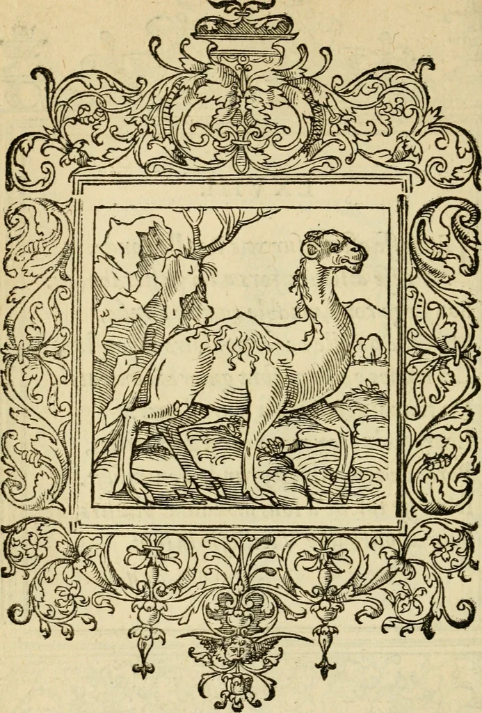An illustration from Le theatre des bons engins : auquel sont contenuz cent emblemes moraulx, 1545, leaf 155