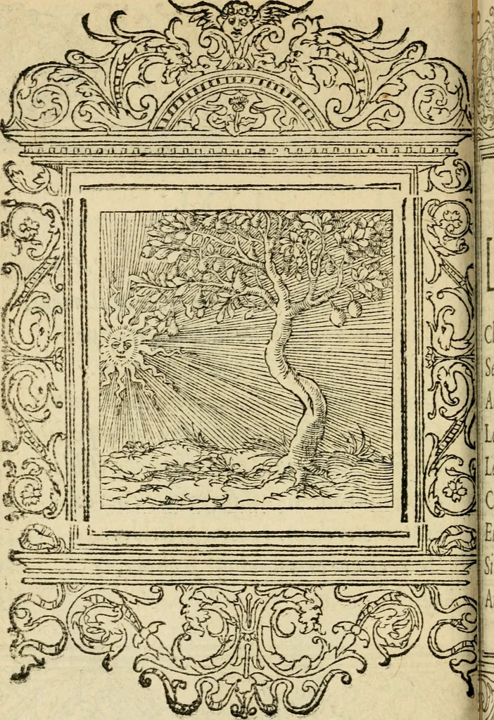 An illustration from Le theatre des bons engins : auquel sont contenuz cent emblemes moraulx, 1545, leaf 161