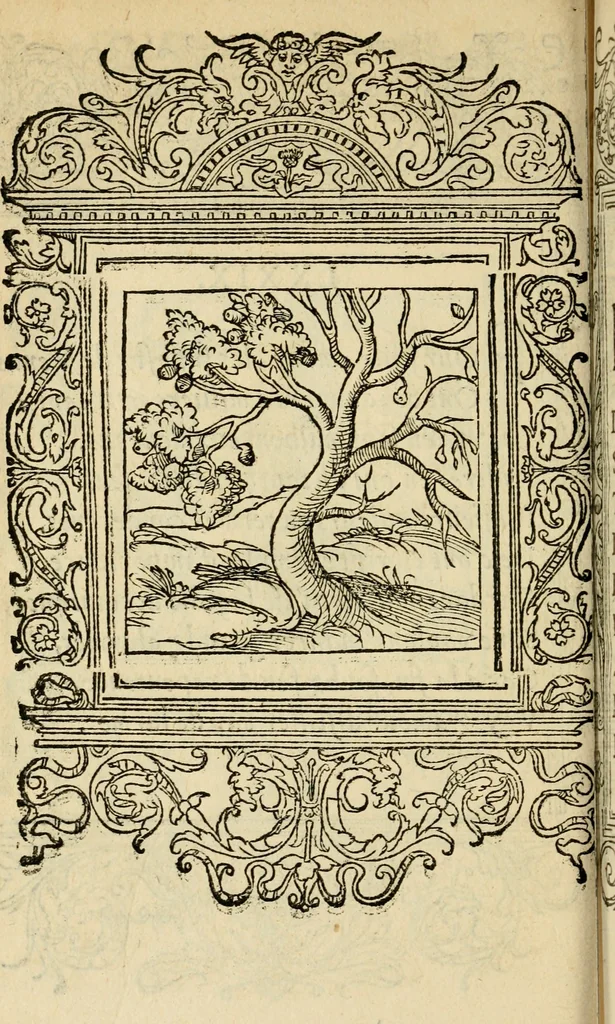 An illustration from Le theatre des bons engins : auquel sont contenuz cent emblemes moraulx, 1545, leaf 177