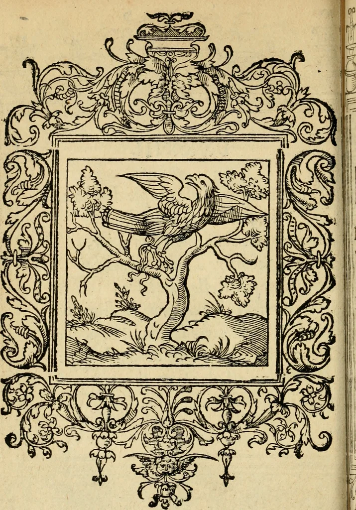 An illustration from Le theatre des bons engins : auquel sont contenuz cent emblemes moraulx, 1545, leaf 185