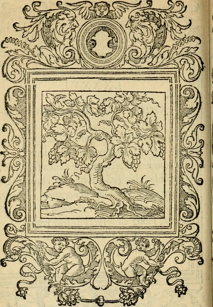 An illustration from Le theatre des bons engins : auquel sont contenuz cent emblemes moraulx, 1545, leaf 191